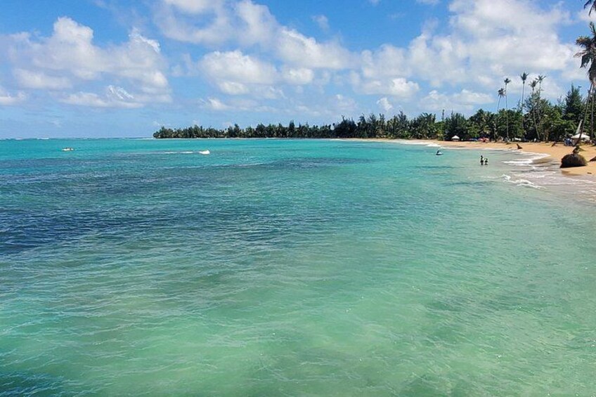 A clear turquoise sea, a sandy beach, and a line of palm trees. 2