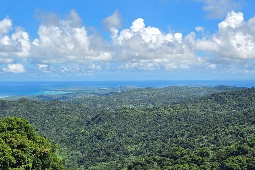 A mountainous landscape with dense green forests and a distant view of the ocean under a partly cloudy sky. 5