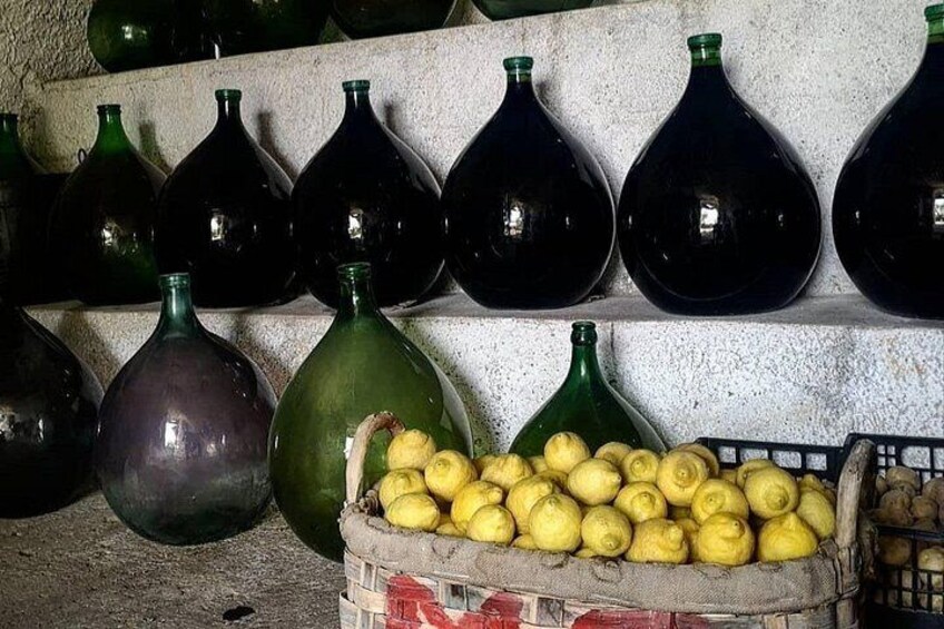 Sorrento Farm and Food Experience including Olive Oil, Limoncello, Wine tasting 4