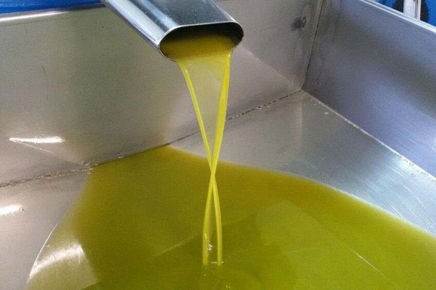 Sorrento Farm and Food Experience including Olive Oil, Limoncello, Wine tasting 2