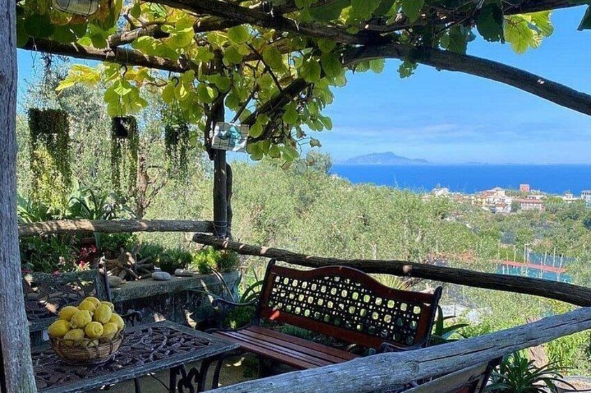 Sorrento Farm and Food Experience including Olive Oil, Limoncello, Wine tasting 3
