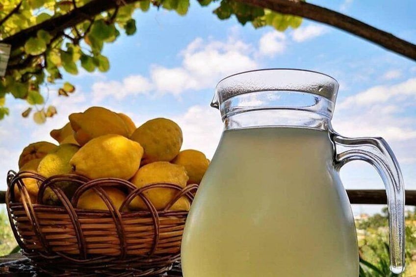 Sorrento Farm and Food Experience including Olive Oil, Limoncello, Wine tasting 2