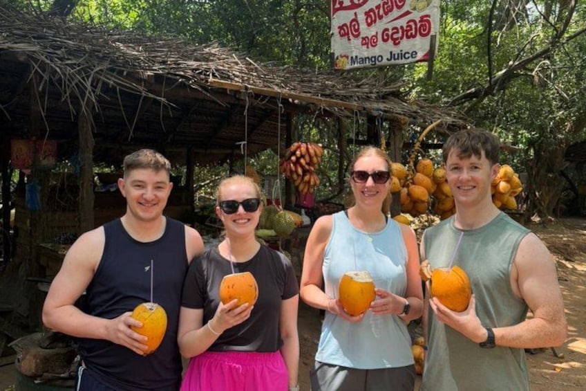 Full Day Trip to Sigiriya and Dambulla from Kandy 5
