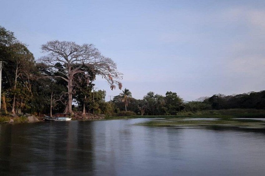 Las Isletas Boat Tour 5
