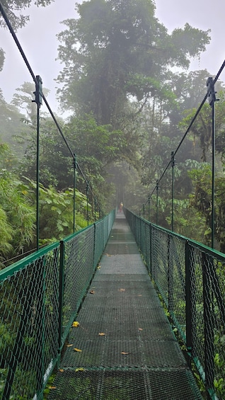 A suspension bridge surrounded by dense forest. 3