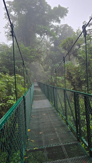 A suspension bridge surrounded by dense forest. 5