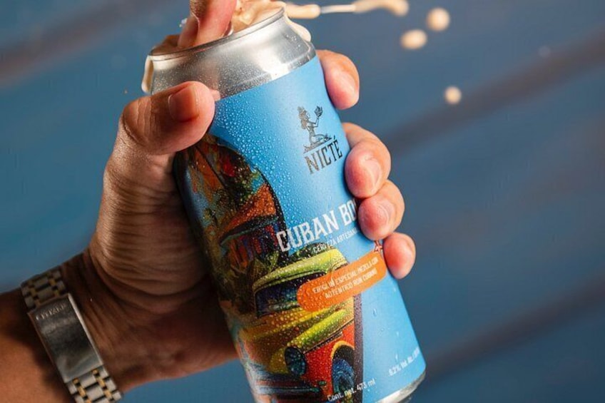 Brewery Tour and Beer Tasting | Tour y Degustación de Cerveza 2