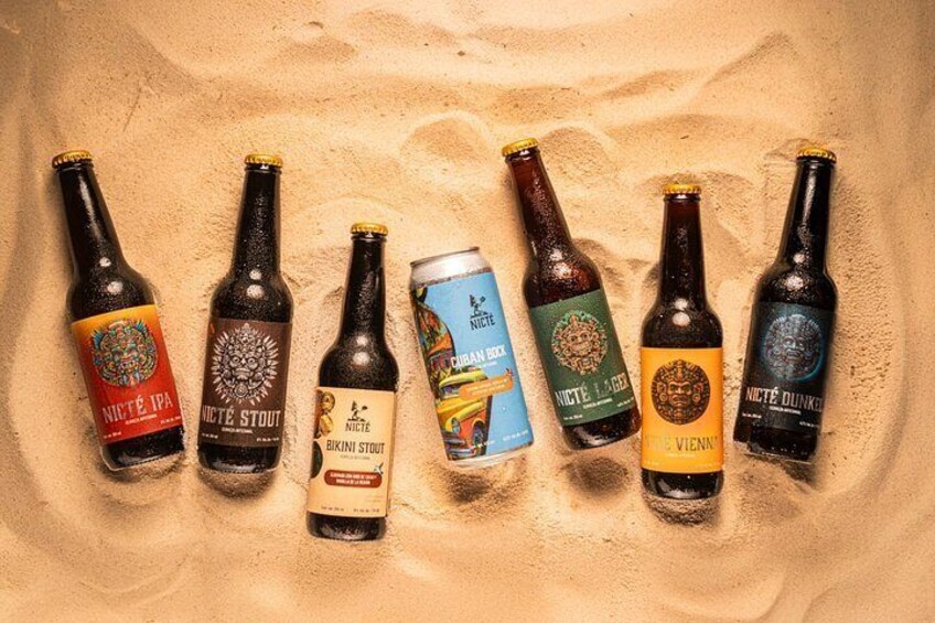 Brewery Tour and Beer Tasting | Tour y Degustación de Cerveza 3