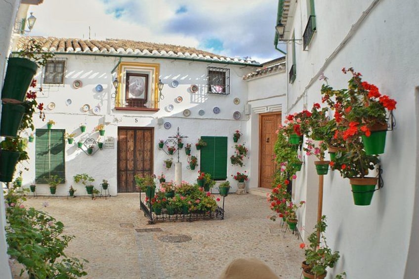 Un patio con paredes blancas, contraventanas verdes y macetas colgantes. 5
