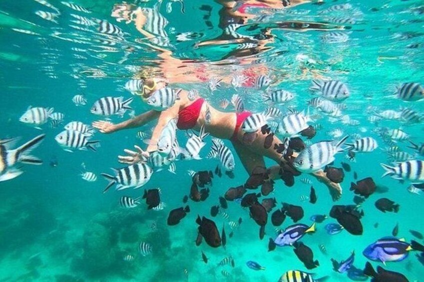 Zanzibar Half Day Trip in Mnemba Island 1