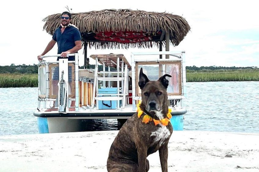 A dog with a lei on a beach, a person on a boat with a thatched roof, and water in the background. 2