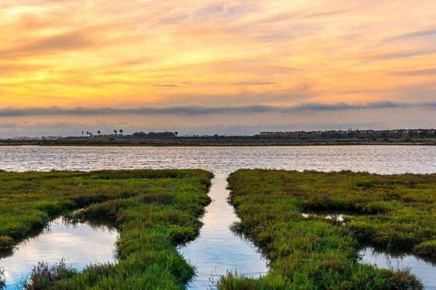Bolsa Chica Wetlands 2