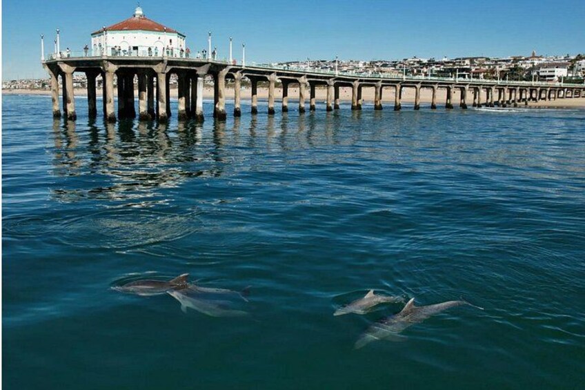 Huntington Beach Pier 5