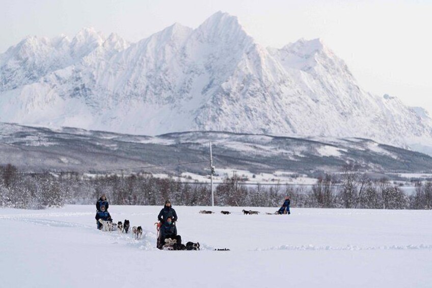Un paysage enneigé où l’on voit des personnes sur des motoneiges et des chiens. 3