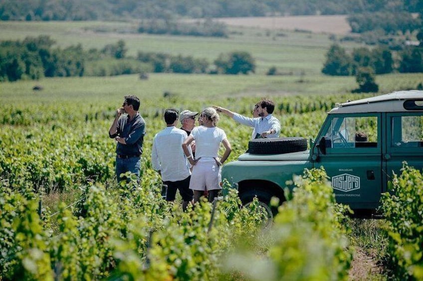 Lyon: Private Burgundy Half Day Wine Tour by Vintage Land Rover 3