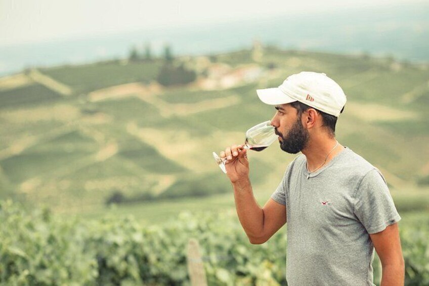 A person wearing a white cap and grey t-shirt, holding a wine glass, standing in a vineyard. 3