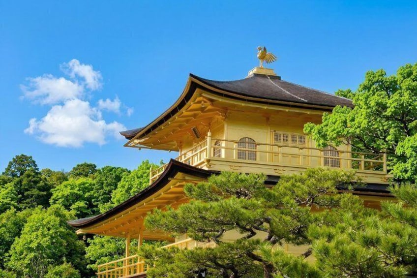 Kyoto Full Day Sightseeing Tour from Osaka or Kyoto 3