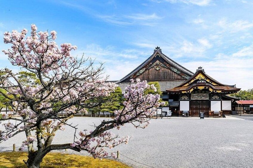 Kyoto Full Day Sightseeing Tour from Osaka or Kyoto 2