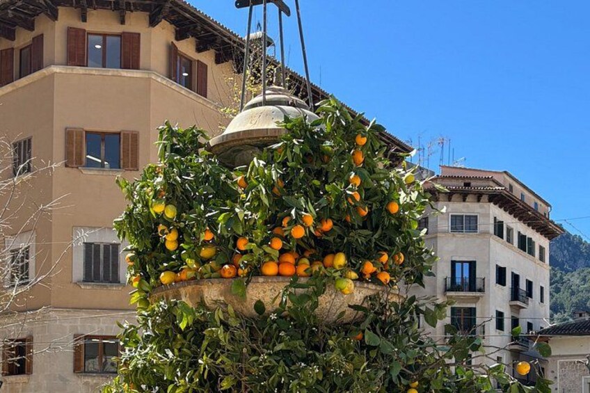 Soller Valley Walk with Orange Farm Visit 5
