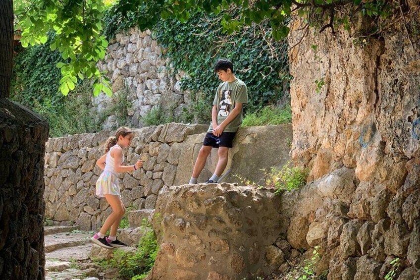 Soller Valley Walk with Orange Farm Visit 4