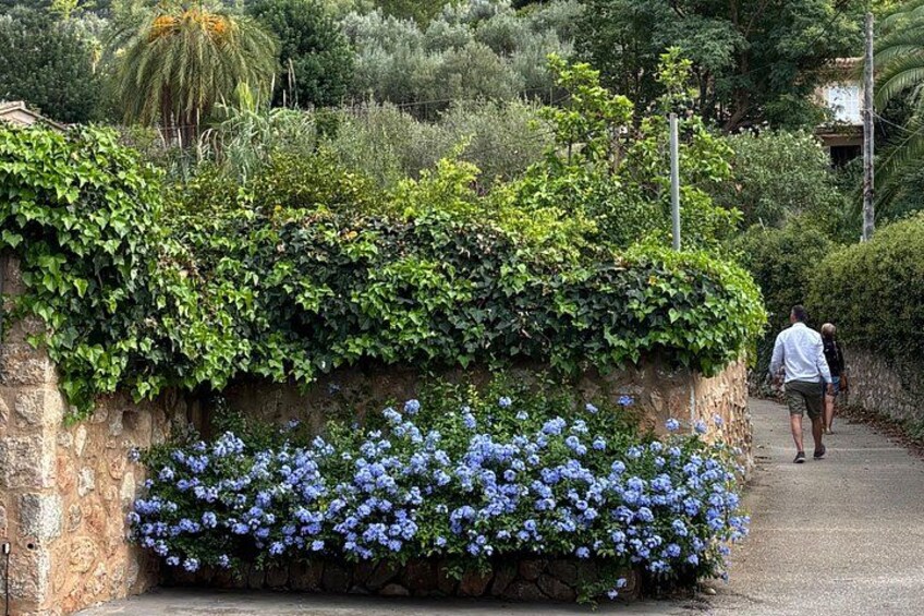 Soller Valley Walk with Orange Farm Visit 2