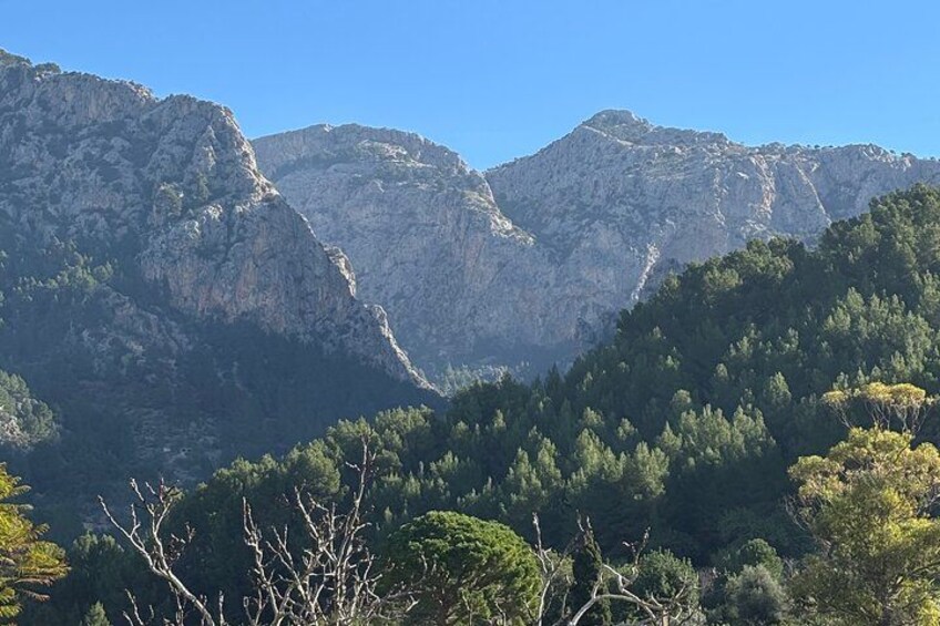 A mountainous landscape with dense forests and rocky cliffs. 2