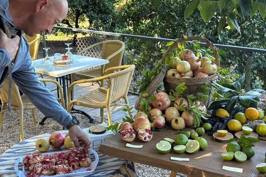 Soller Valley Walk with Orange Farm Visit 2