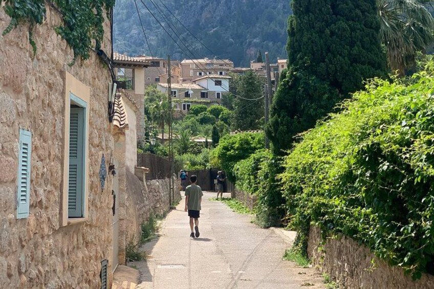 Soller Valley Walk with Orange Farm Visit 3