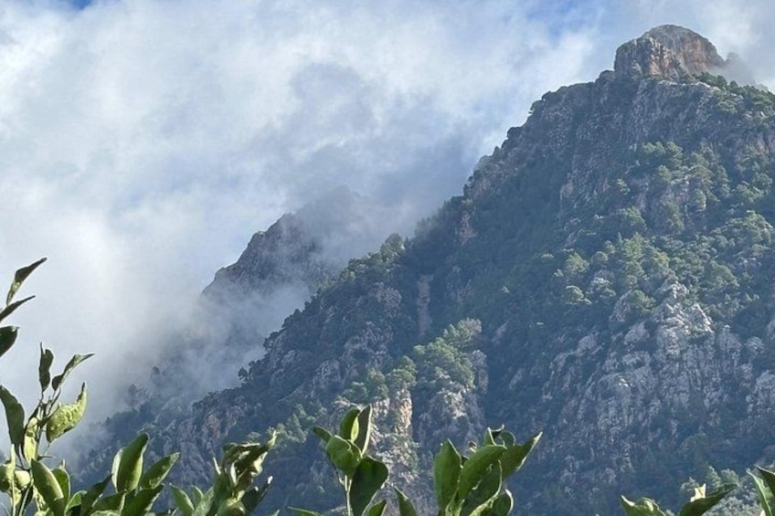 Soller Valley Walk with Orange Farm Visit 3