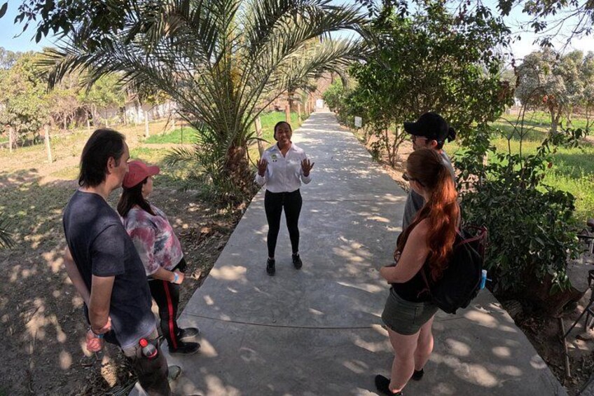 A group of people walking on a concrete path surrounded by greenery. 4