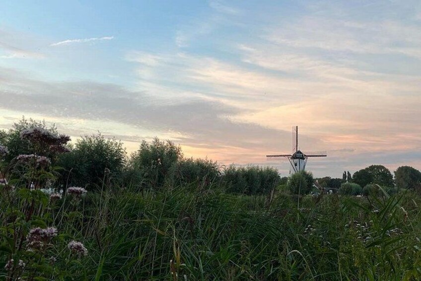 Discover Damme The Medieval Village Near Bruges 5