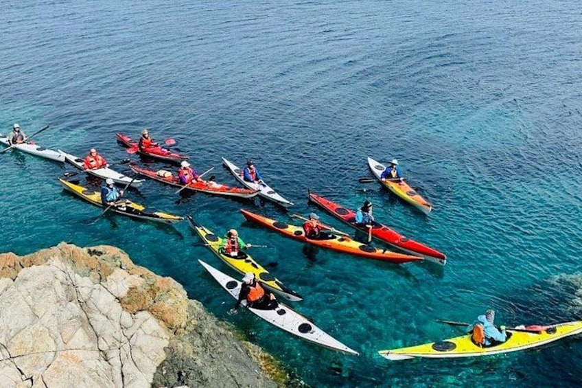 Elba Island Full Day Sea Kayak Tour 2