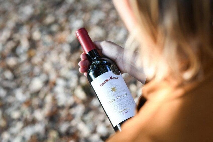 A person holding a bottle of wine with a label that reads 'Goumo Macul' and 'Fins Terra.' 4