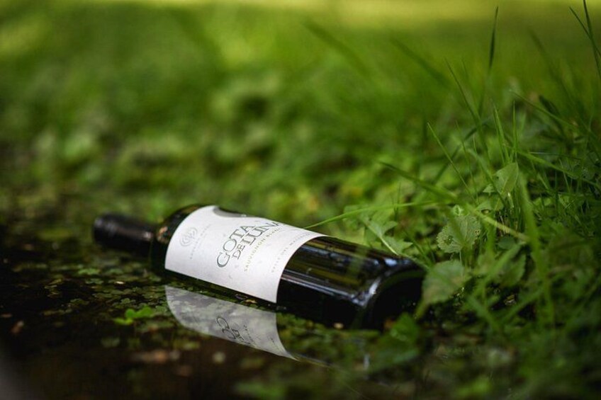 A bottle of wine lying on grass with a label that reads 'GOTTA DANCE.' 3
