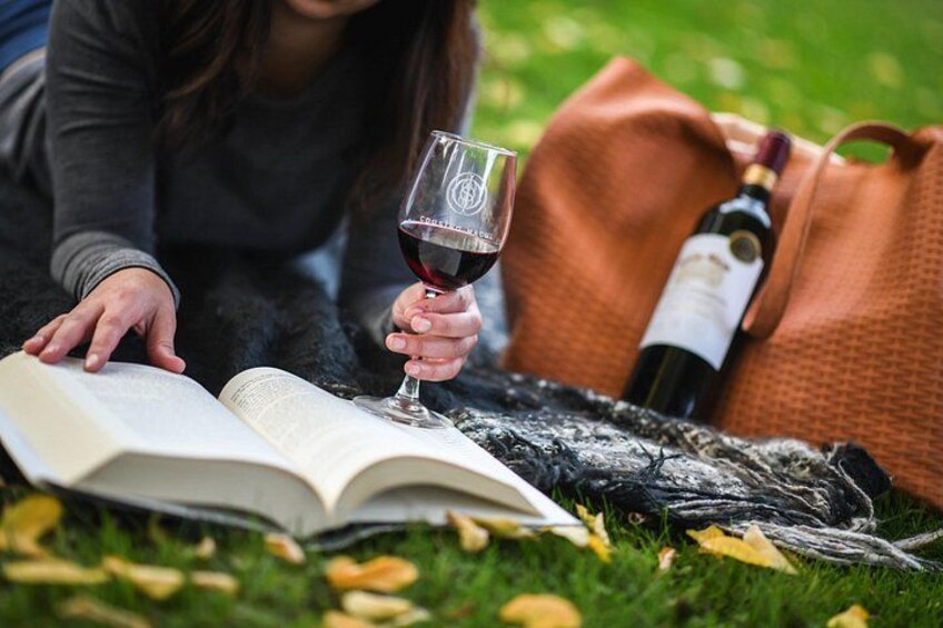 A person reading a book outdoors with a wine glass and a bottle of wine on a blanket. 2