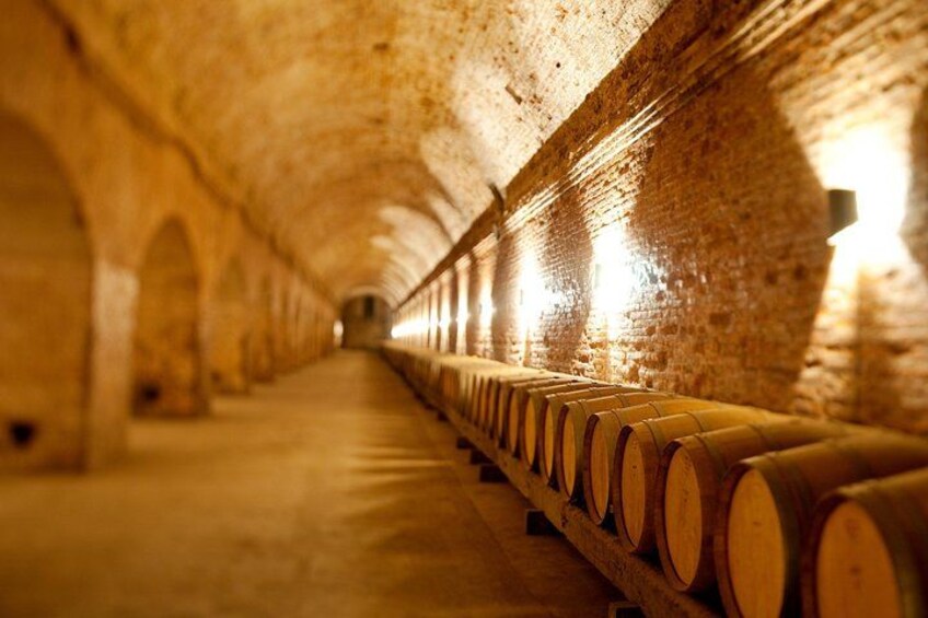 A tunnel with wooden barrels lined up on the right side. 5