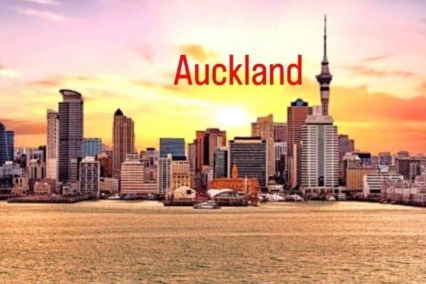 Auckland City Half Day Top Sightseeing Tour(Small Group Tour) 1