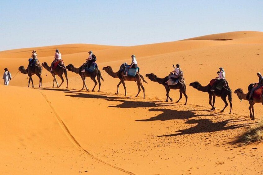 A group of people riding camels across a desert landscape with sand dunes. 4