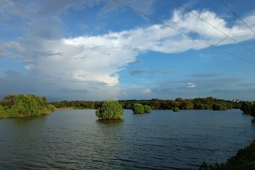 Blue skies near mangroves of Goltim