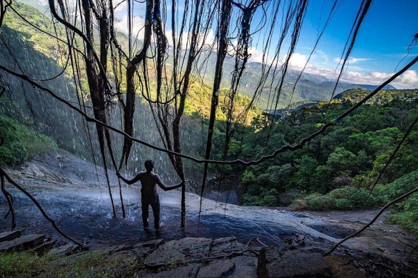 A person standing in a forested area with a river and mountains in the background. 1