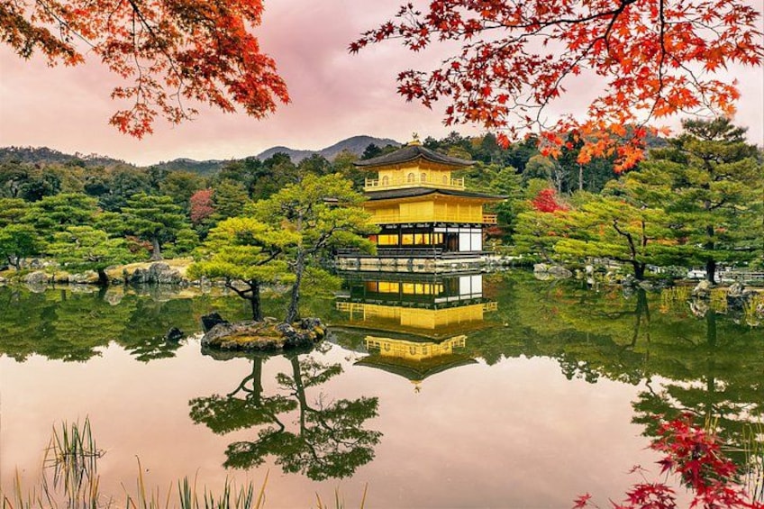Kyoto One Day Sightseeing Tour from Osaka or Kyoto 2
