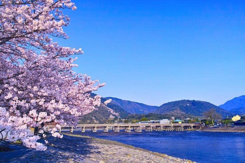 Kyoto One Day Sightseeing Tour from Osaka or Kyoto 3
