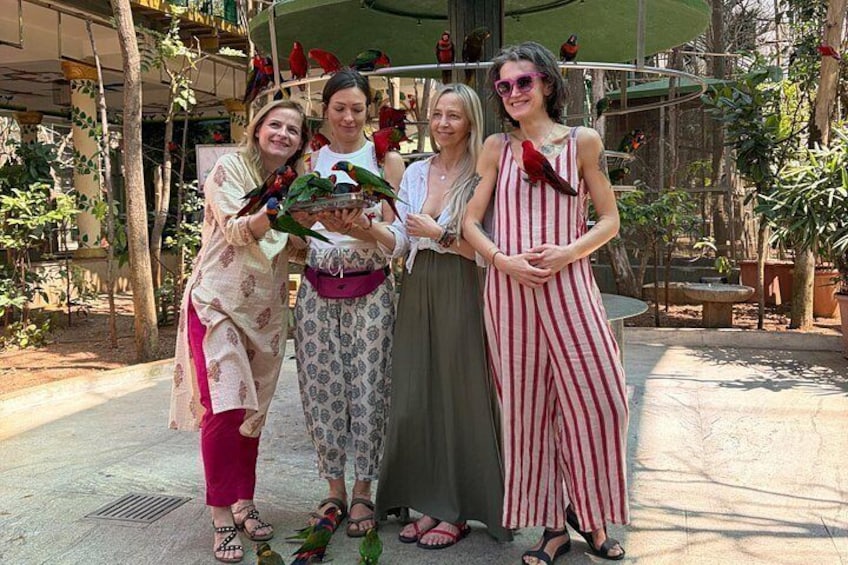 Mysore Tuk-Tuk Tours 2