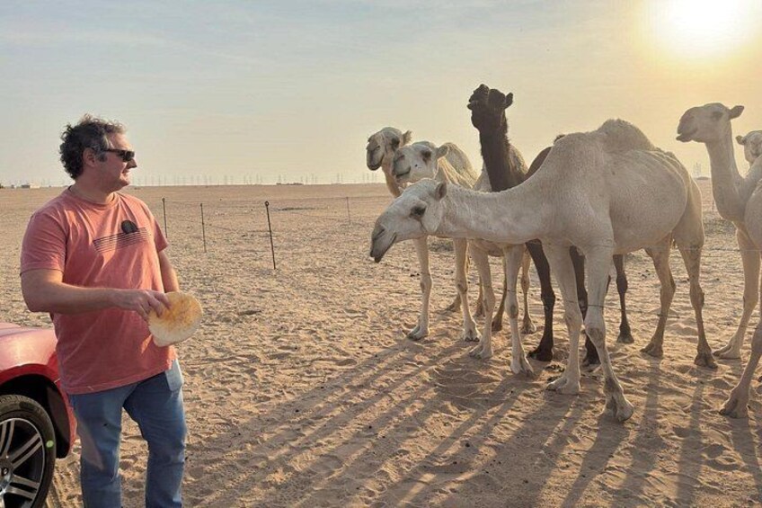 A person with camels in a desert setting. 4