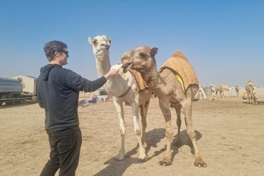 A person interacting with a camel in a desert setting. 1