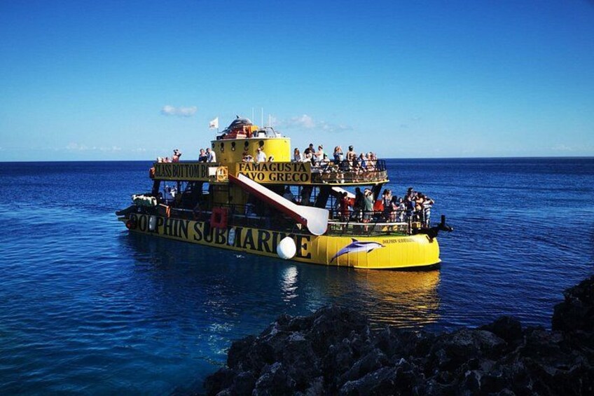 Glass Bottom Boat Dolphin Cruise to Blue Lagoon and Turtle Cove 2