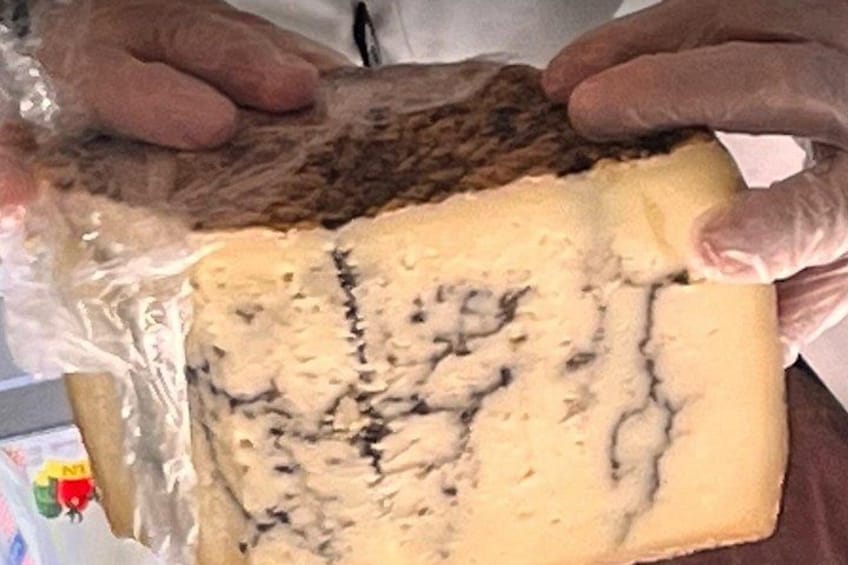 Imported truffle cheese from Sardinia 4