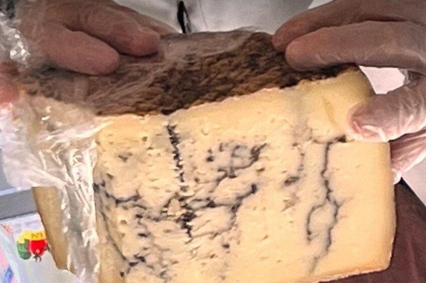 Imported truffle cheese from Sardinia 3