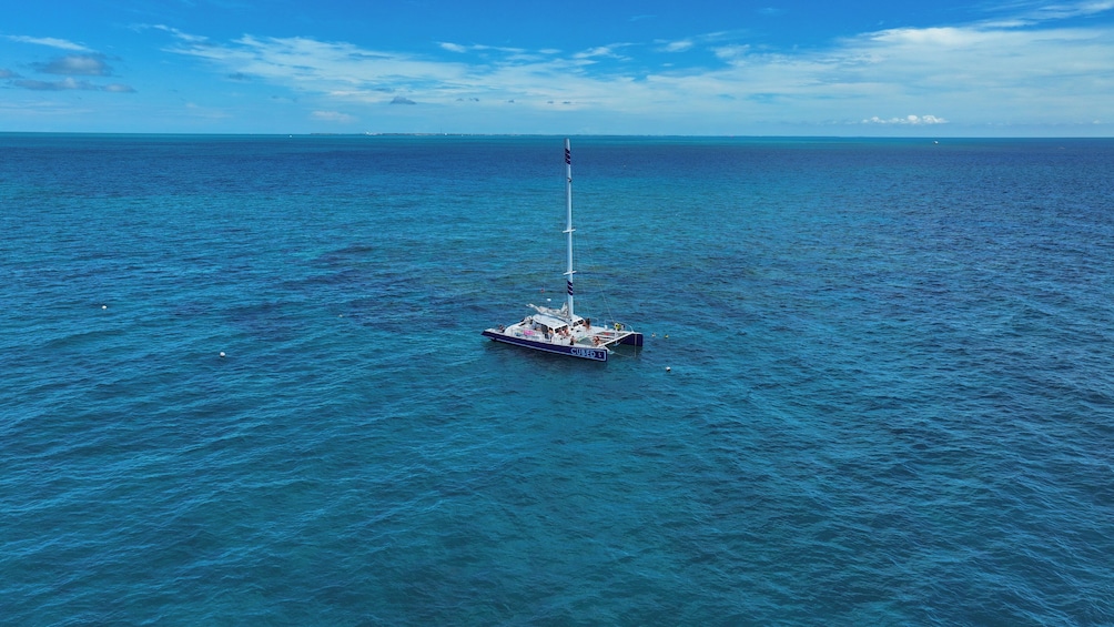 Catamaran Sail to Key West's Dolphin Playground - Sightings Guaranteed 3
