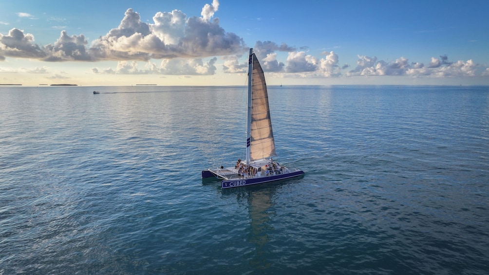 Catamaran Sail to Key West's Dolphin Playground - Sightings Guaranteed 2